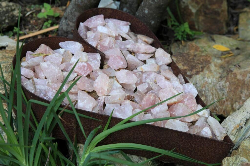 Livingstone Villa วิลเดอร์เนส ภายนอก รูปภาพ