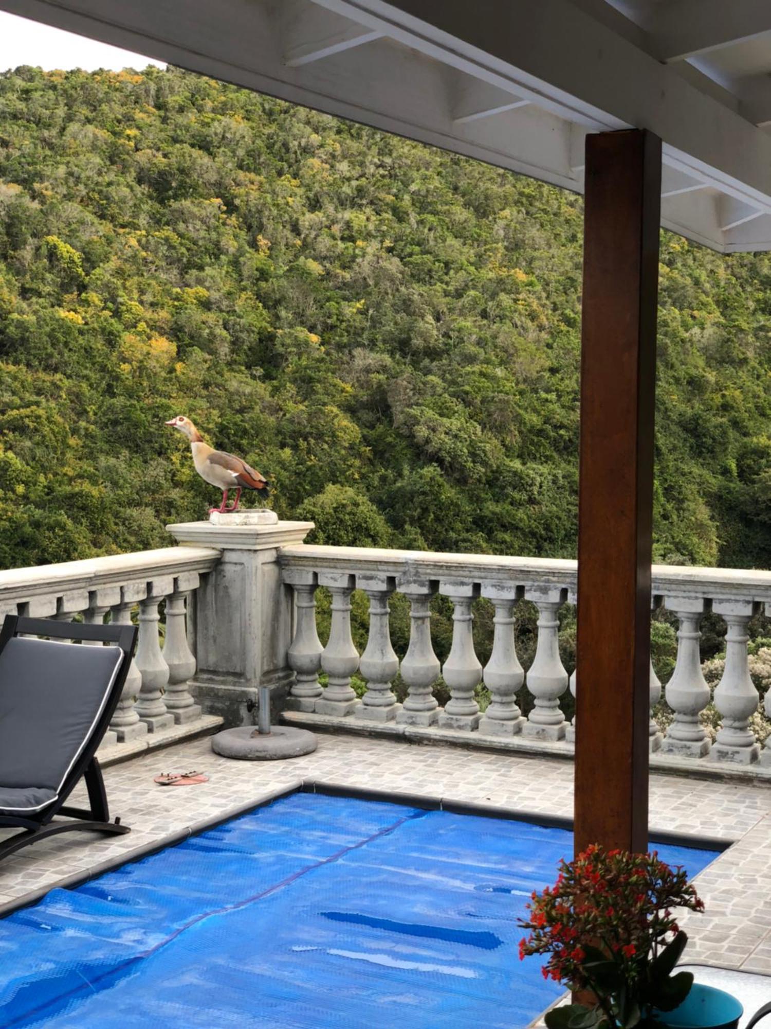 Livingstone Villa วิลเดอร์เนส ภายนอก รูปภาพ